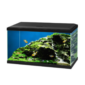 Acuario Ciano Aqua 60