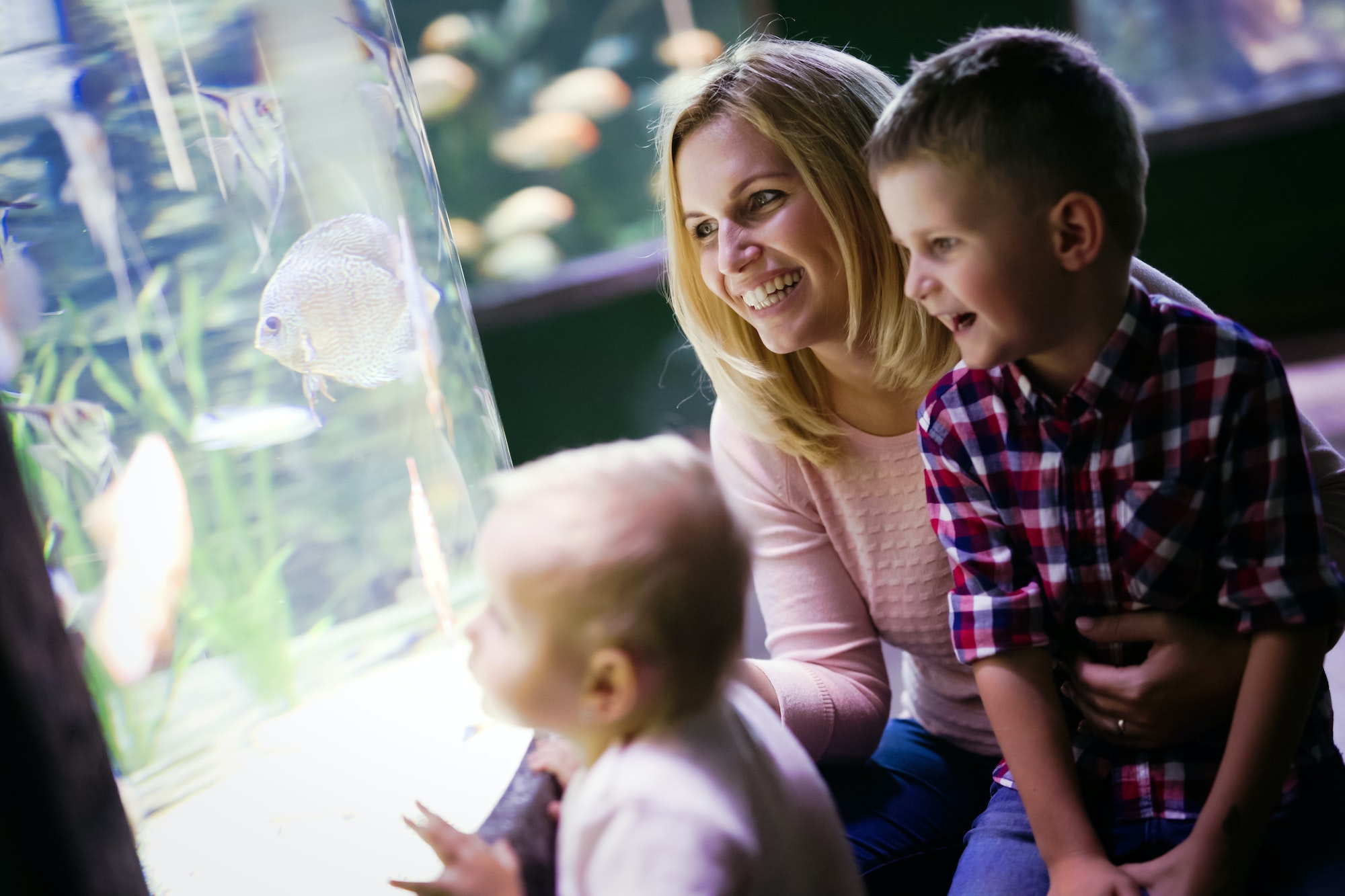 Happy family looking at fish tank at the aquarium